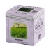 Aroma cubes WHITE TEA and GINGER (8 pcs)